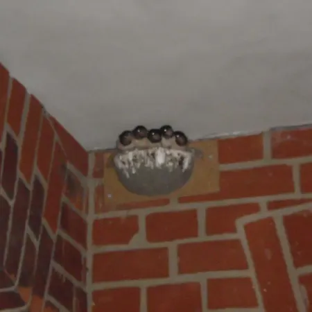 Rodd By Interhome Bad Wilsnack