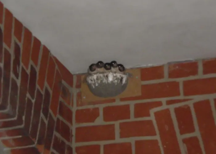 Rodd By Interhome Bad Wilsnack